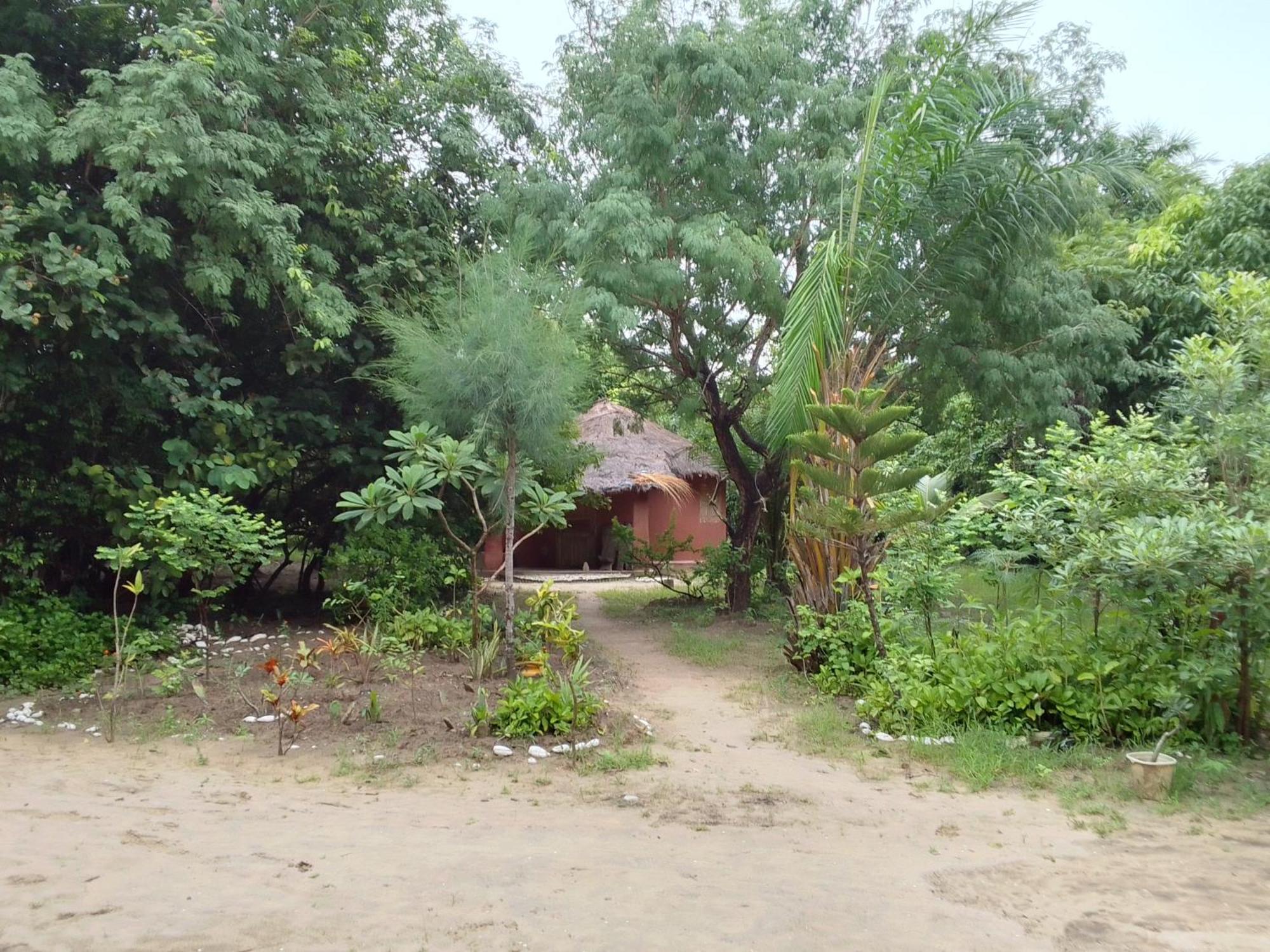 Bed and Breakfast Little Baobab Abémé Zewnętrze zdjęcie